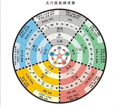 五術命理|『五術』《山、醫、命、卜、相》 – 八字命理（玄孟樵。